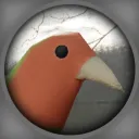 birdekek
