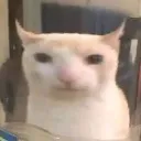 noobpia avatar