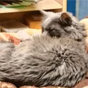 Аватар yt_hakerfake