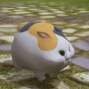 fatcatsanchez member profile picture