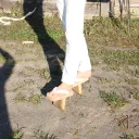 .getao