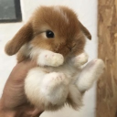 avatar xyla ⋆˙⟡