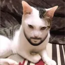 pipoy_
