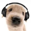 chazzershop
