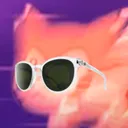 fluixon
