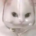 miwnisshii
