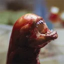 chestbursterxx