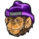 todocsgo