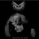 Аватар nufer8807