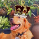 king.barnaby