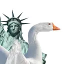 solmrgoose