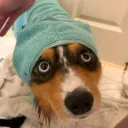 anniepeachie