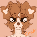 avatar 🩵LoboCharity🩵