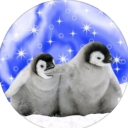 avatar PenguinKangaroo