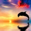 mynamenotfound7182 avatar