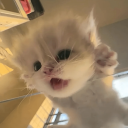 avatar !𝔦𝔠𝔶𝔞𝔮𝔵𝔲𝔨𝔬𝔬