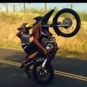 bnffundadorpalmerson6990
