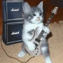 miau.wei