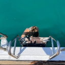 avatar ♡ k1.tessa 🎀