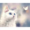 khlebnyikhleb7845