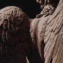 angelicspider.
