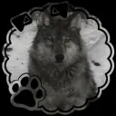 astro_xb