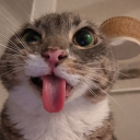 Discord Avatar