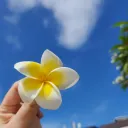 mimmu_o3o