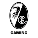 scfreiburgefootball