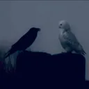 p_z2