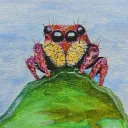 saddino