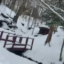 pepelepu0