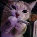 avatar TKZ