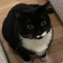 oliverbum