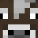 minecraft_things_cool3185