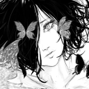avatar ☆