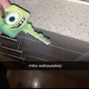 vadoseship