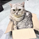 avatar heocoansaysua