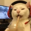 tafelsophie