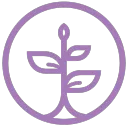 pdsteam