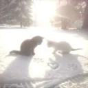 fwl1xq