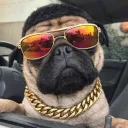 blackz9_