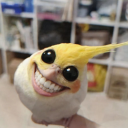 Discord Avatar