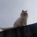 where_is_tired