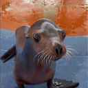 avatar silly sea lion