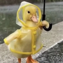 Discord Avatar