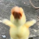 avatar keziah