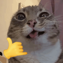 trapy_