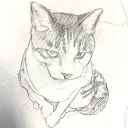 mochi.n