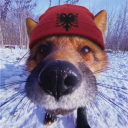 avatar ! Kaçak